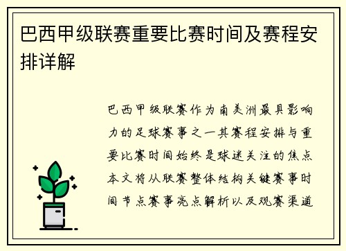 巴西甲级联赛重要比赛时间及赛程安排详解